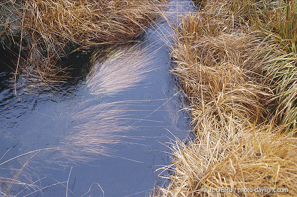 les Hautes Fagnes